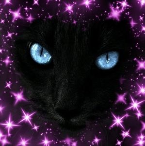 Meet your Posher, Shawn